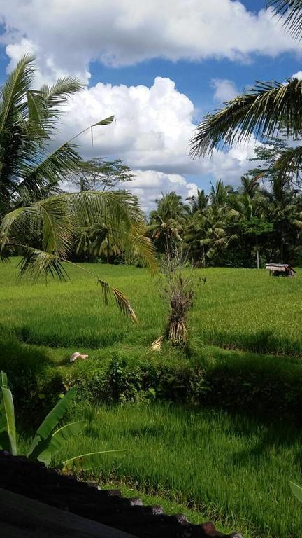 Kishi-Kishi Ubud Villas Экстерьер фото